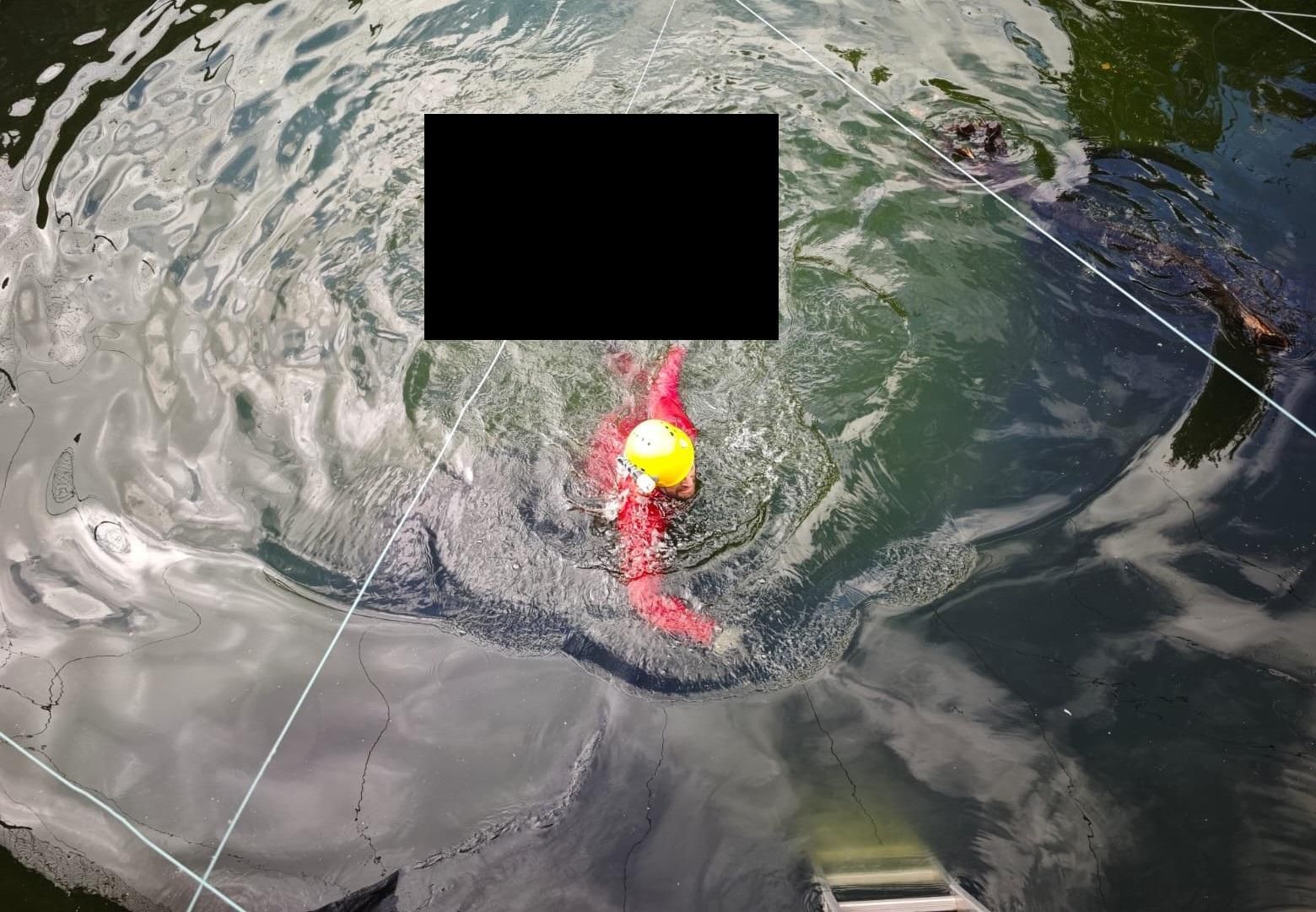 Momento del rescate de uno de los perros. BOMBEROS LA PALMA