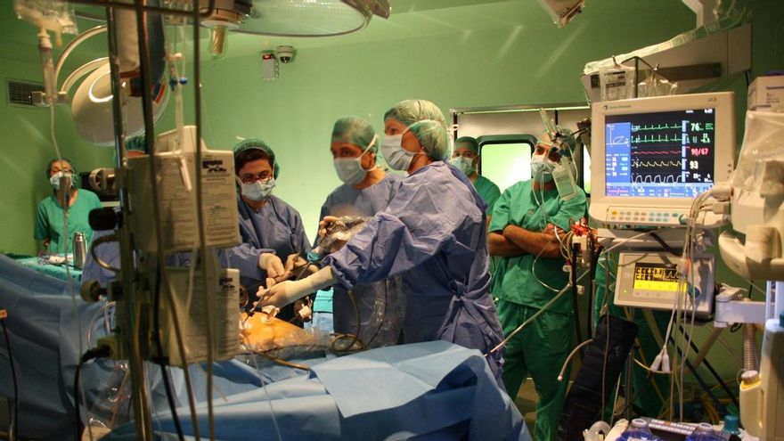 El Ministerio de Sanidad prepara una norma para establecer prioridades en las listas de espera de las CCAA