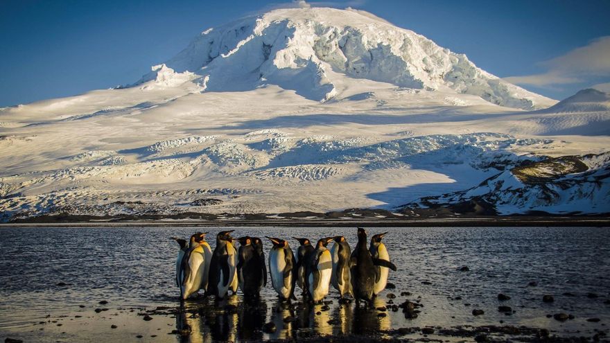 “Nadie está a salvo”: Trump impone aranceles a islas de la Antártida habitadas por pingüinos y a países en guerra y en crisis