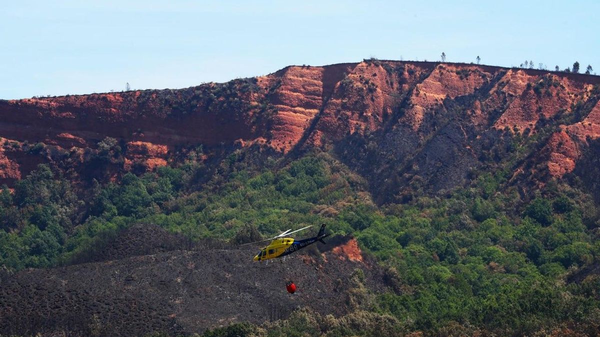 La Leitosa, afectada por el incendio de Veguellina.