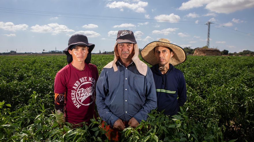 Temporeros colombianos en Mallorca.
