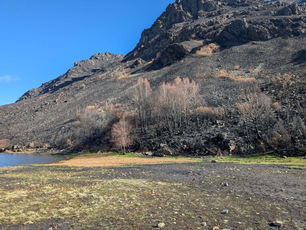 El Lago de la Baña tres meses después de ser arrasado por el fuego
