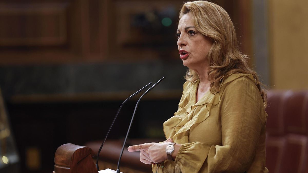 La diputada de CC, Cristina Valido García, interviene en el Pleno del Congreso celebrado este martes. EFE/Chema Moya