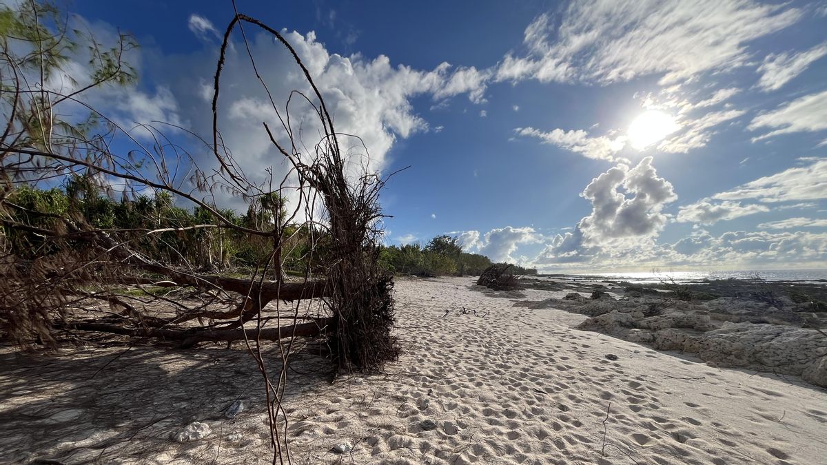 Una playa de la isla de Rota afectada por el reciente paso del tifón Sinlaku.