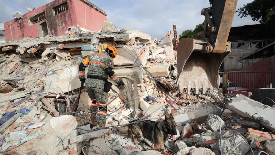 Un rescatista del Ejercito de México junto a su perro trabajan en un edificio afectado en La Guaira (Venezuela). EFE/ Ronald Peña R