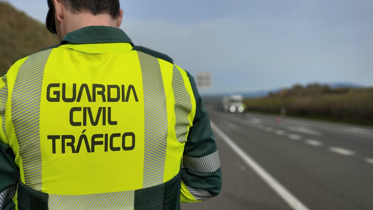 La pasarela para que agentes de tráfico de la Guardia Civil puedan integrarse en la Policía Foral sigue sin fecha