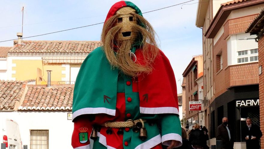 Botarga recuperada en Cabanillas del Campo