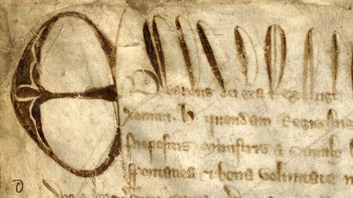 Harvard redescubre un sorprendente secreto en su copia de la Carta Magna