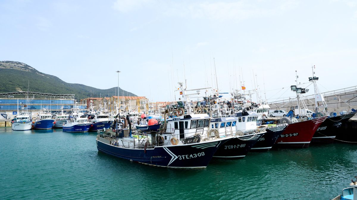 Cantabria concede 1,5 millones en ayudas para modernizar la flota pesquera y reducir el impacto ambiental