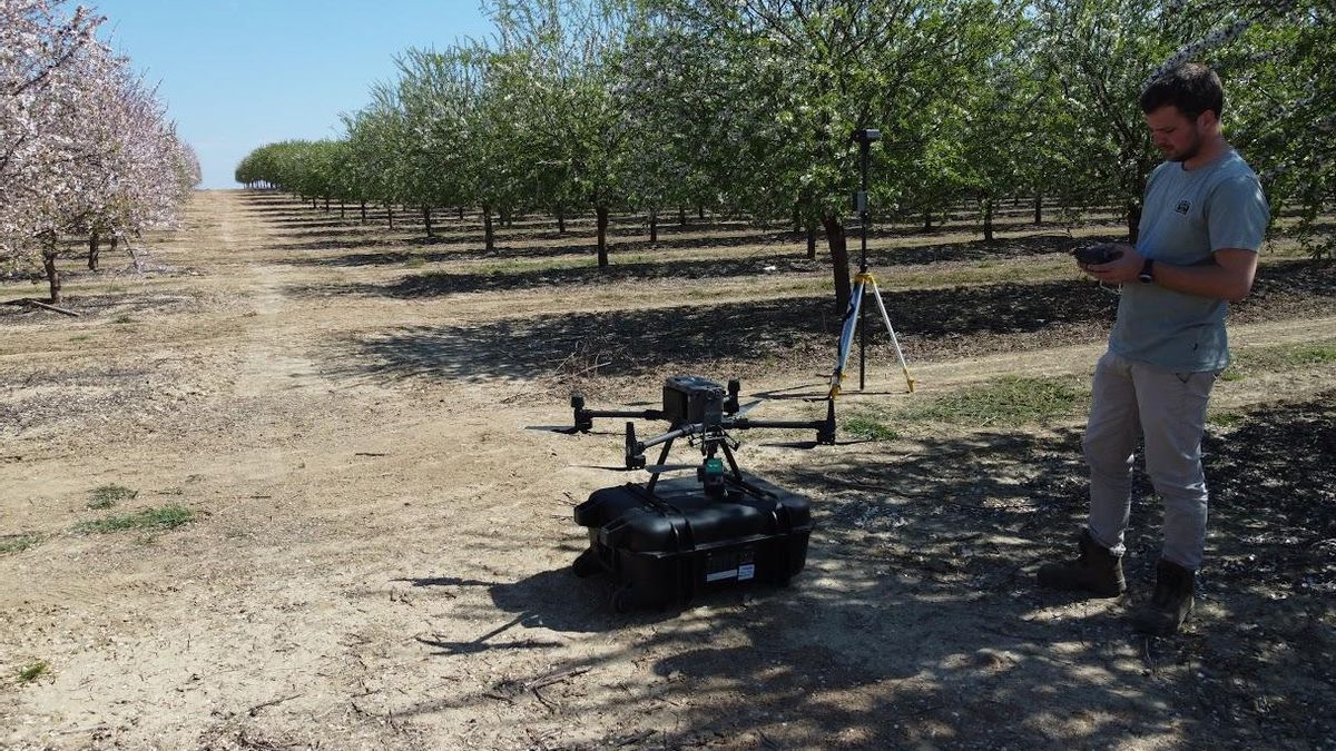 Investigadores del IAS-CSIC usan tecnología LiDAR para mejorar el riego en leñosos como el almendro