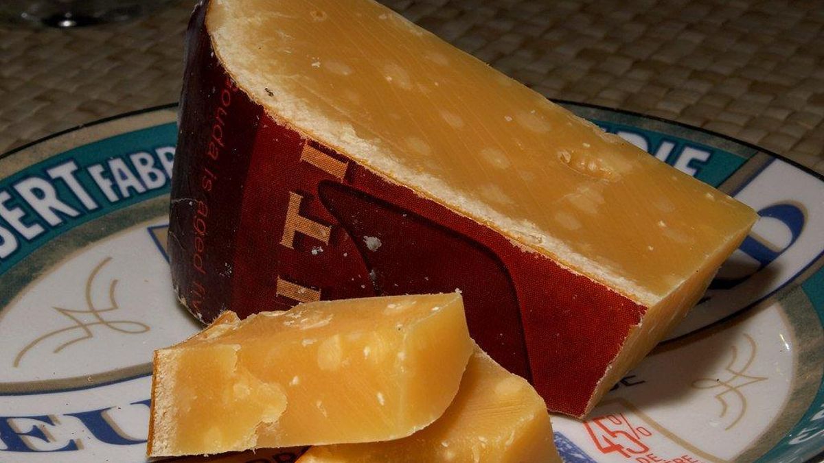 Gouda