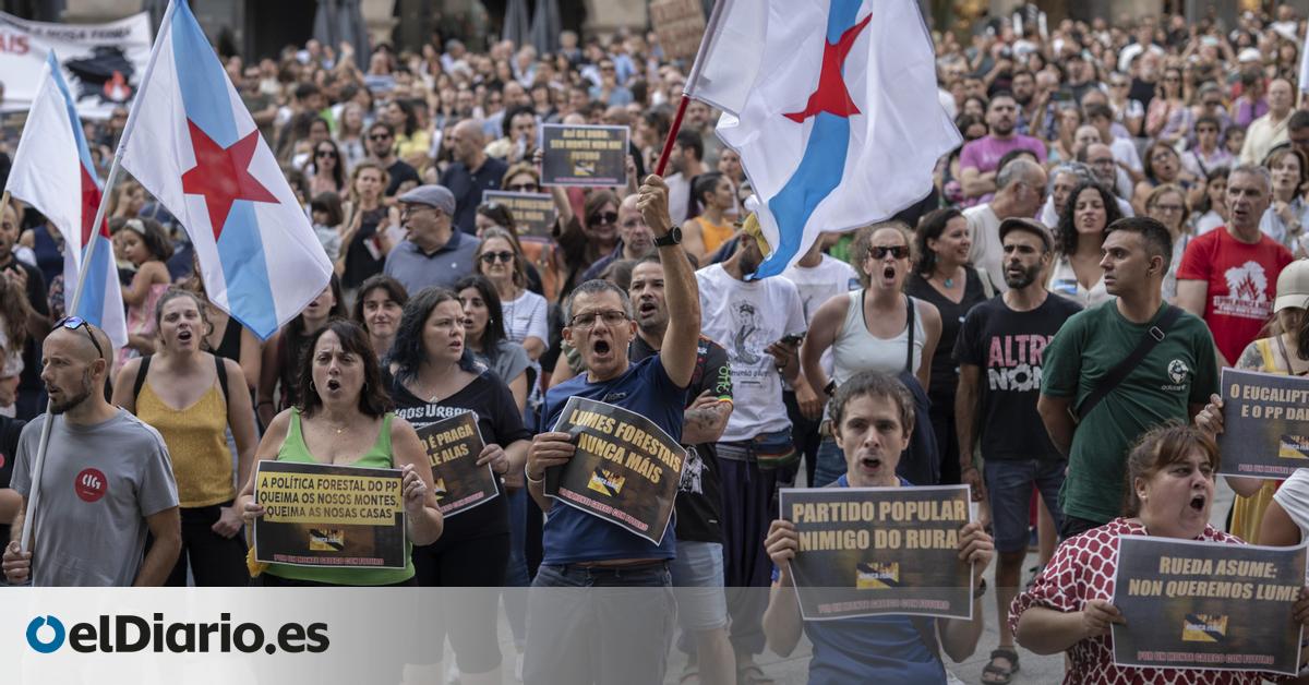 Una gran manifestación exigirá el 14 de septiembre en Santiago medidas que eviten otra oleada de incendios