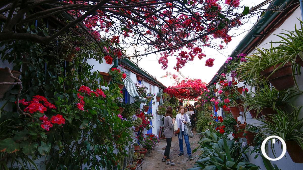 Patio Marroquies,6 - 2022