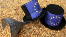 España se queda sola en Europa en el cultivo de transgénicos