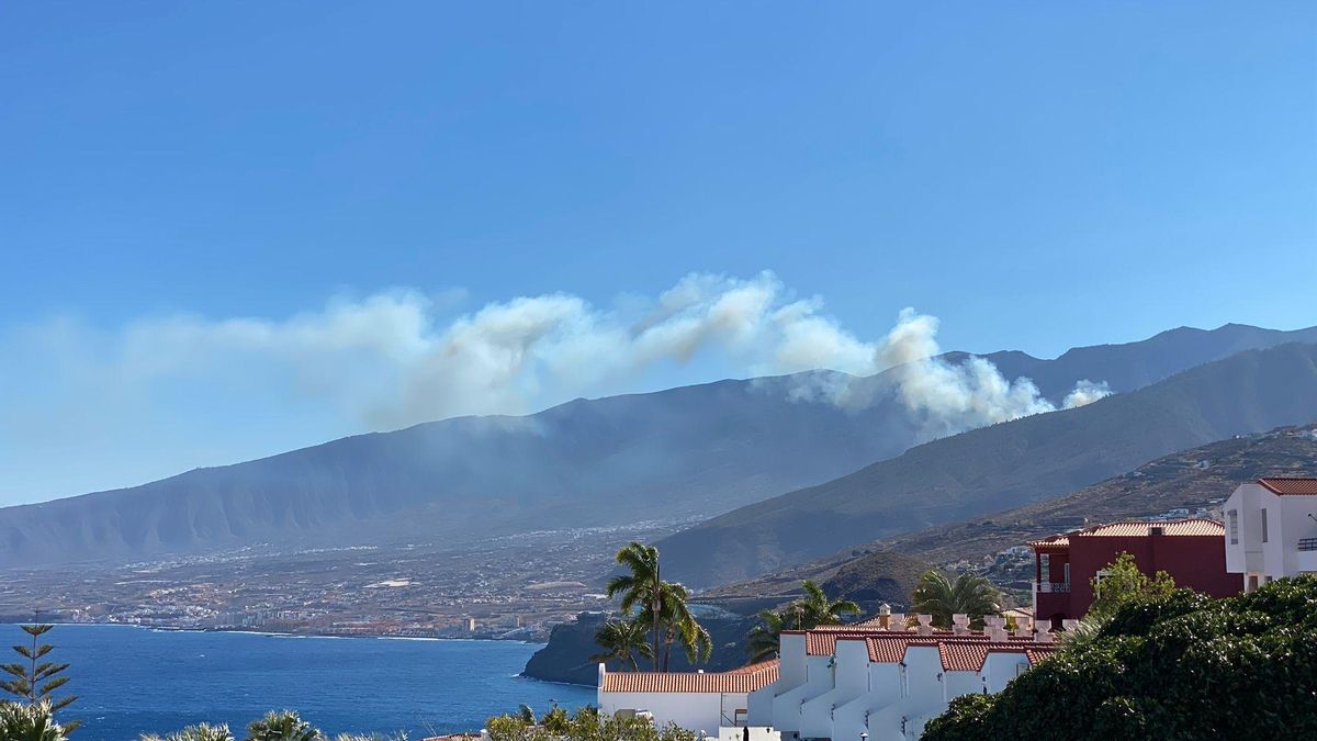 El Cabildo amplía a todo Tenerife las medidas extraordinarias por la alerta por calor