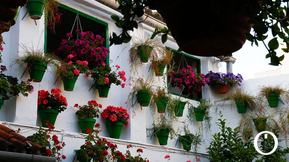 Patio Parras 8 - 2022