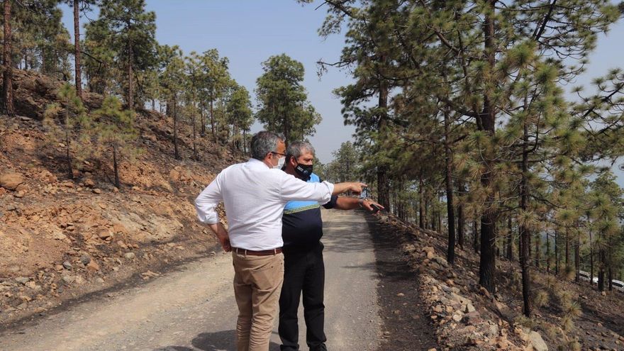El alcalde de Arico, Sebastián Martín. (AYUNTAMIENTO DE ARICO)