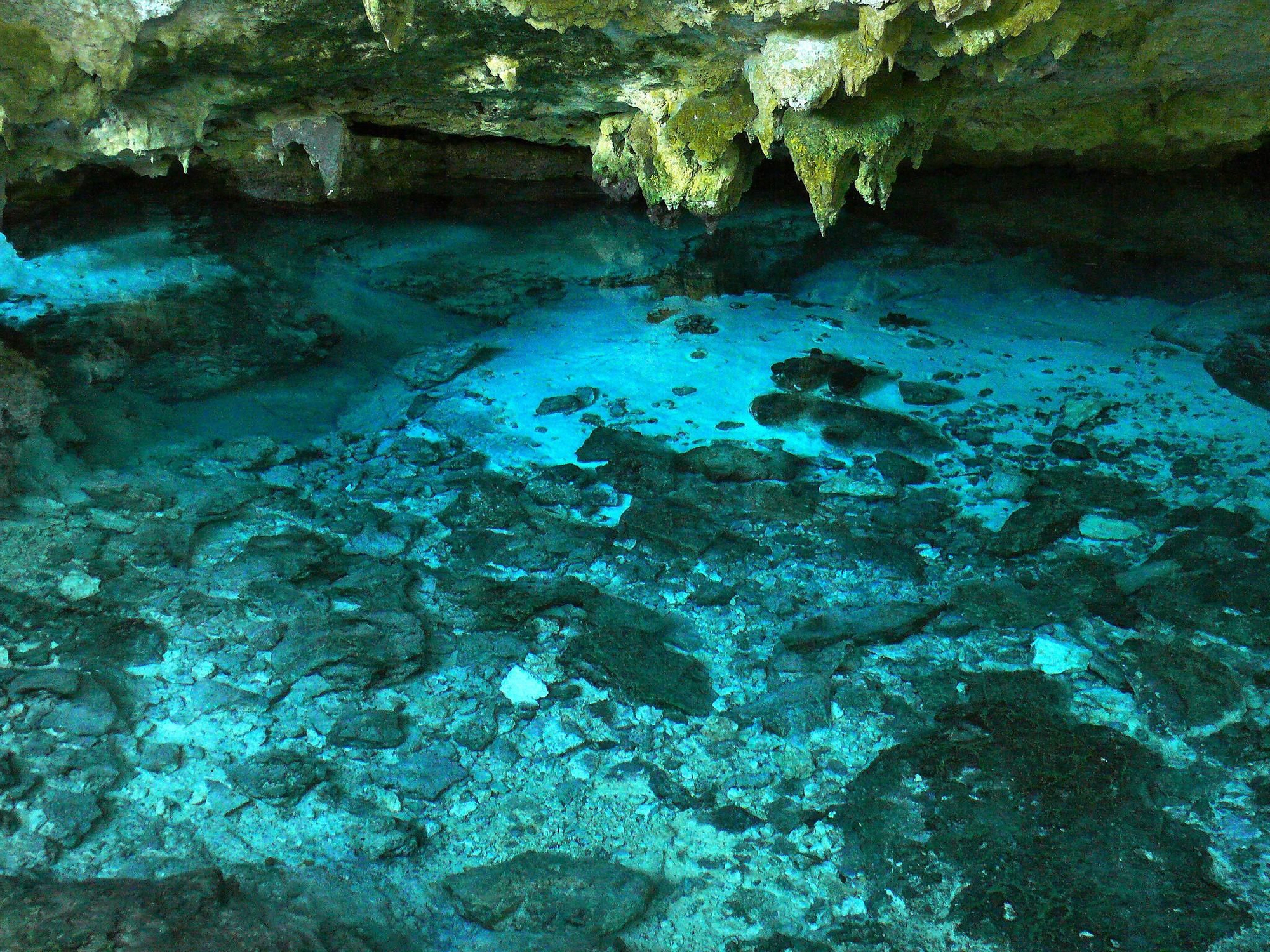 Aguas transparentes en el Gran Cenote.