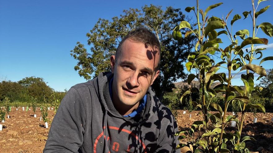 Una plantación experimental en Lardero busca la clave para perales más resistentes al fuego bacteriano y al cambio climático