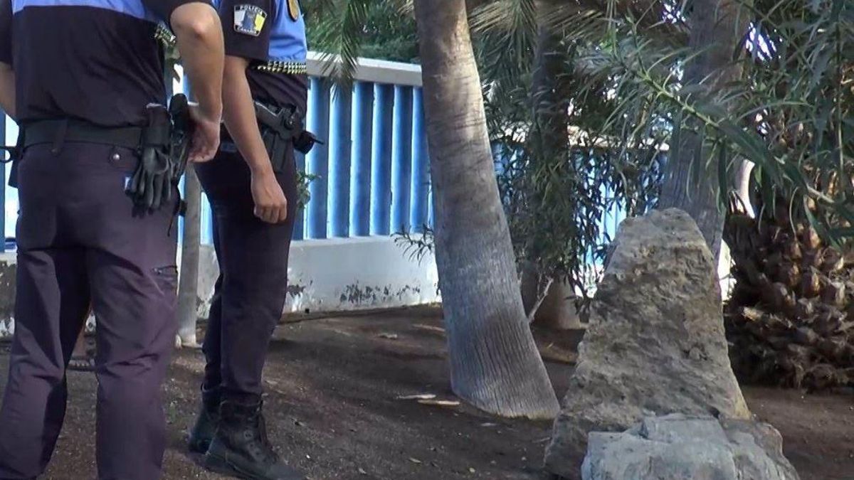 La Policía Local de Mogán investiga el envenamiento de 15 perros en Arguineguín