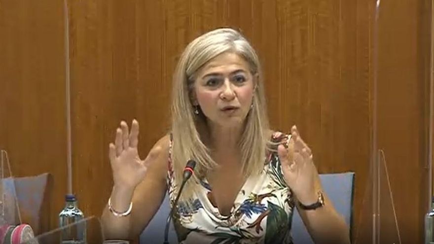 Presupuestos de Cultura de la Junta de Andalucía: flamencos irritados, cineastas inquietos