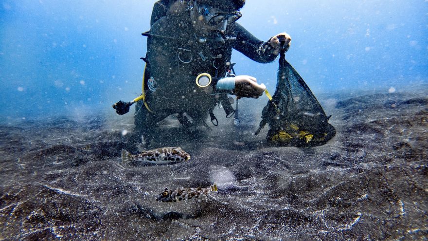From washing machines to the ocean floor: first evidence of microplastic pollution found in sediments of La Palma