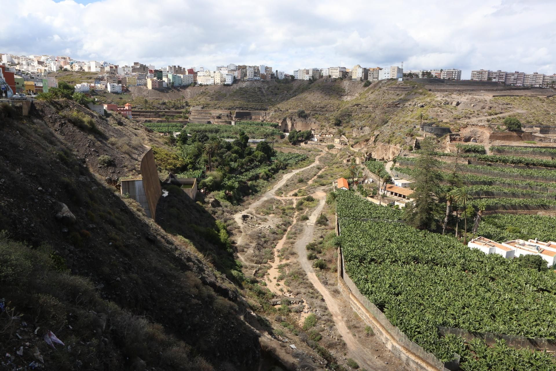 Barranco del Guiniguada (ALEJANDRO RAMOS)
