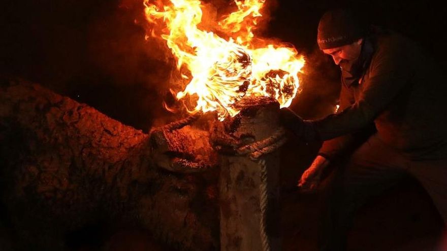 La Justicia suspende el Toro Júbilo de Medinaceli al considerar que prima "la vida del animal"