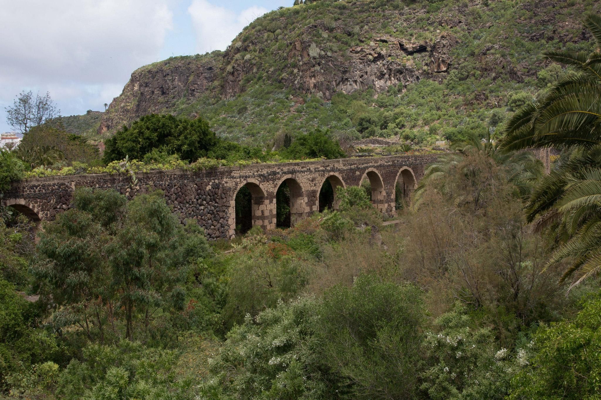 Recorrido institucional por el Barranco del Guiniguada en el Día Mundial del Agua.