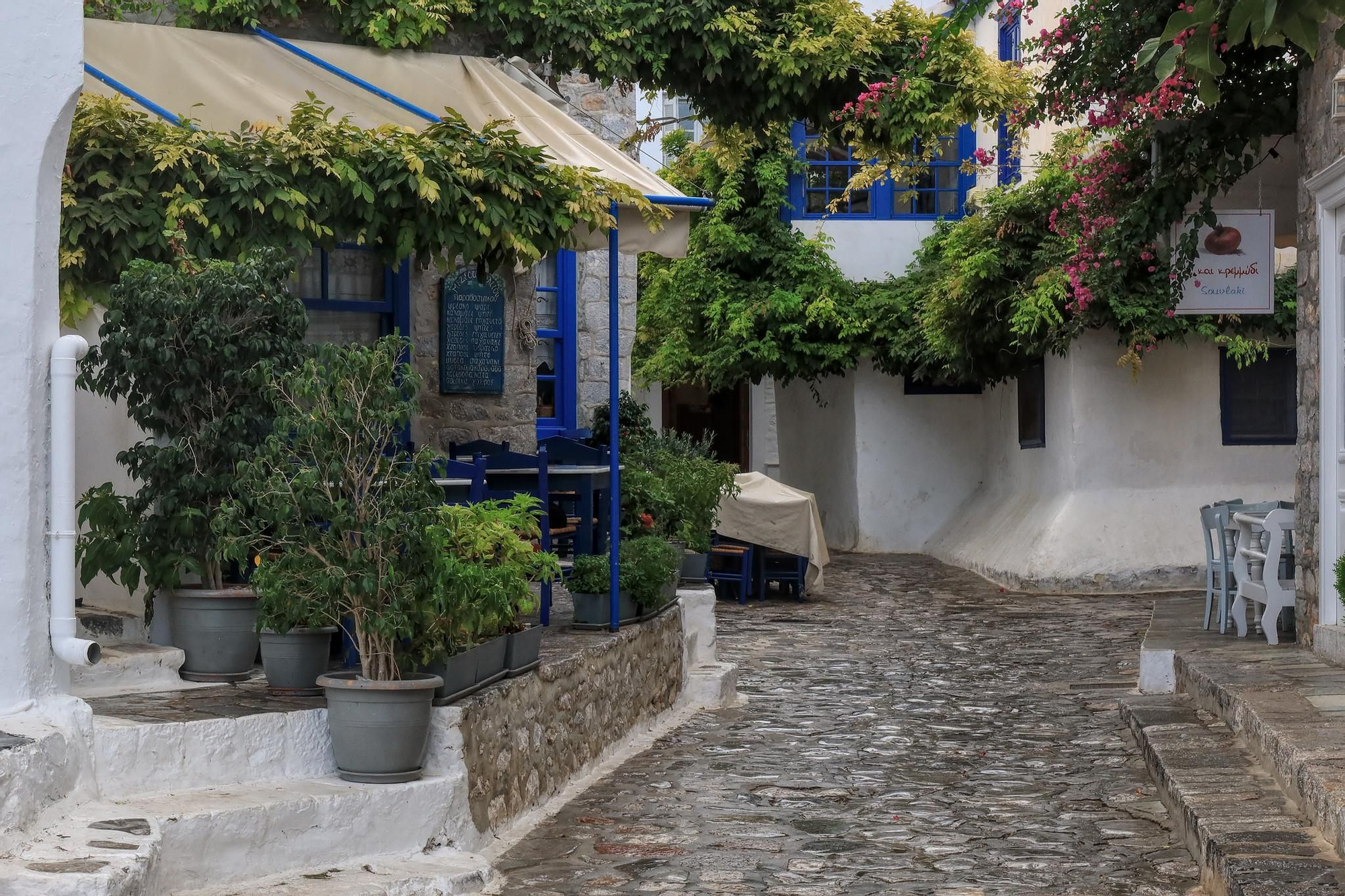 Flores y casitas blancas en las calles de Hidra.