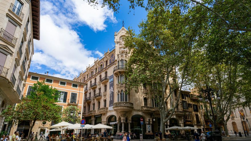Así funciona la regla 3-30-300, el estándar holandés que relaciona nuestro bienestar con la cantidad de árboles cerca de casa