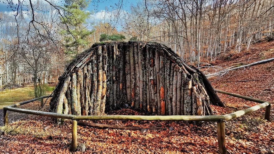 El Hayedo de Tejera Negra, en Guadalajara
