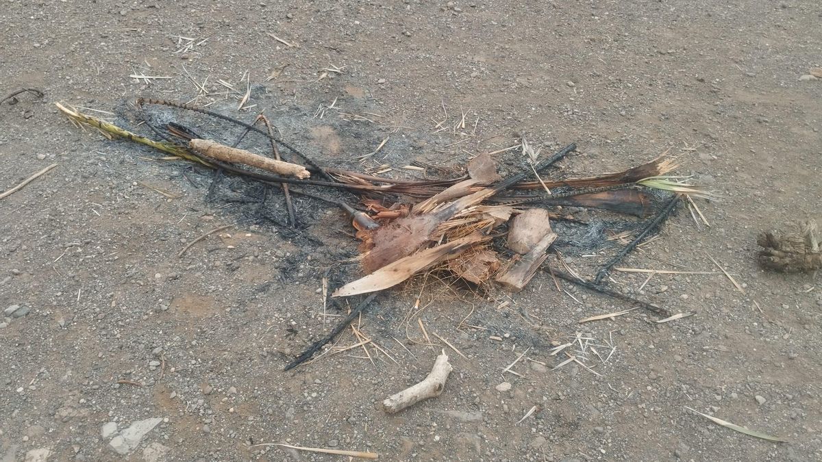 Restos de una hoguera en Rambla de Castro.