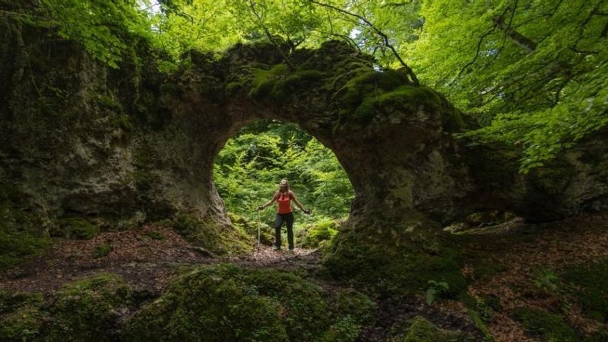 Una ruta de senderismo mágica en el País Vasco: laberintos de árboles y troncos en un bosque milenario