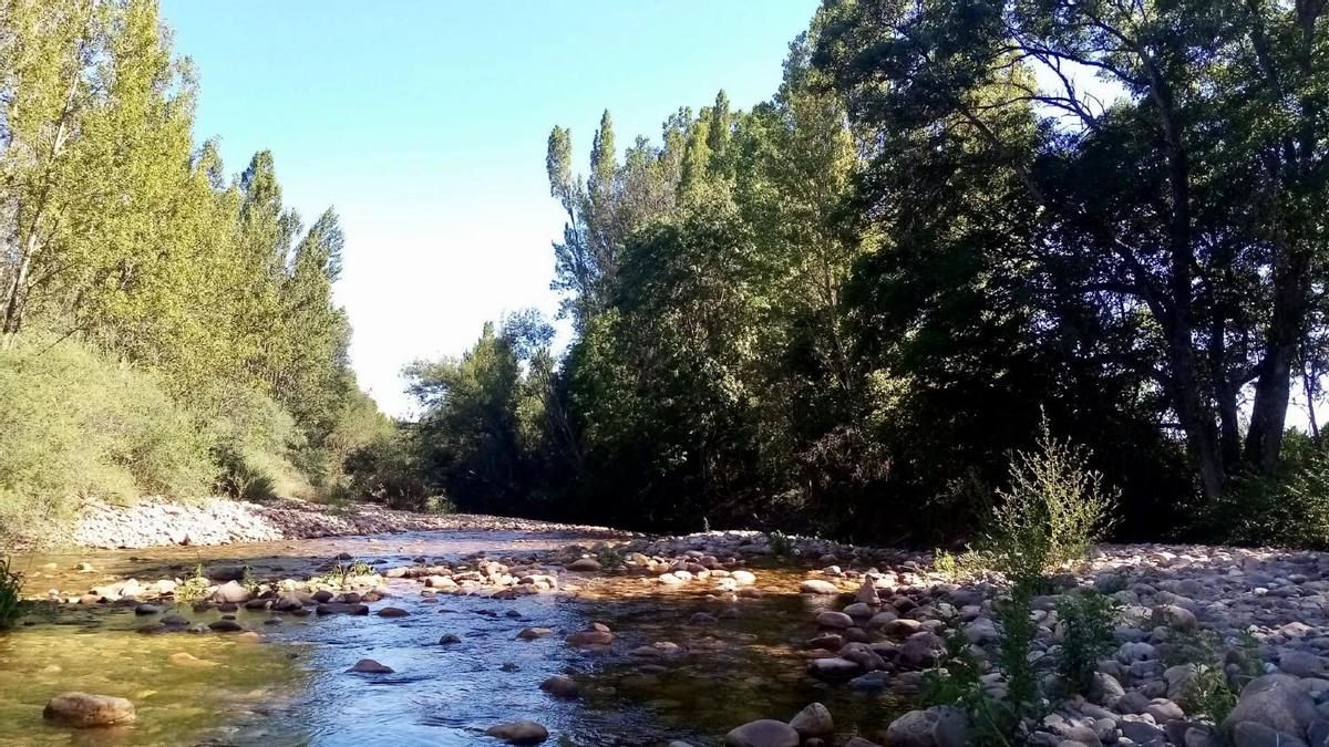 Garrafe de Torío acoge este viernes una jornada sobre la digitalización de riegos históricos en la cuenca