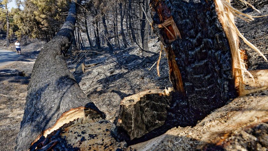 El incendio del sur de Ávila ha afectado a una parte del Parque Regional de Gredos