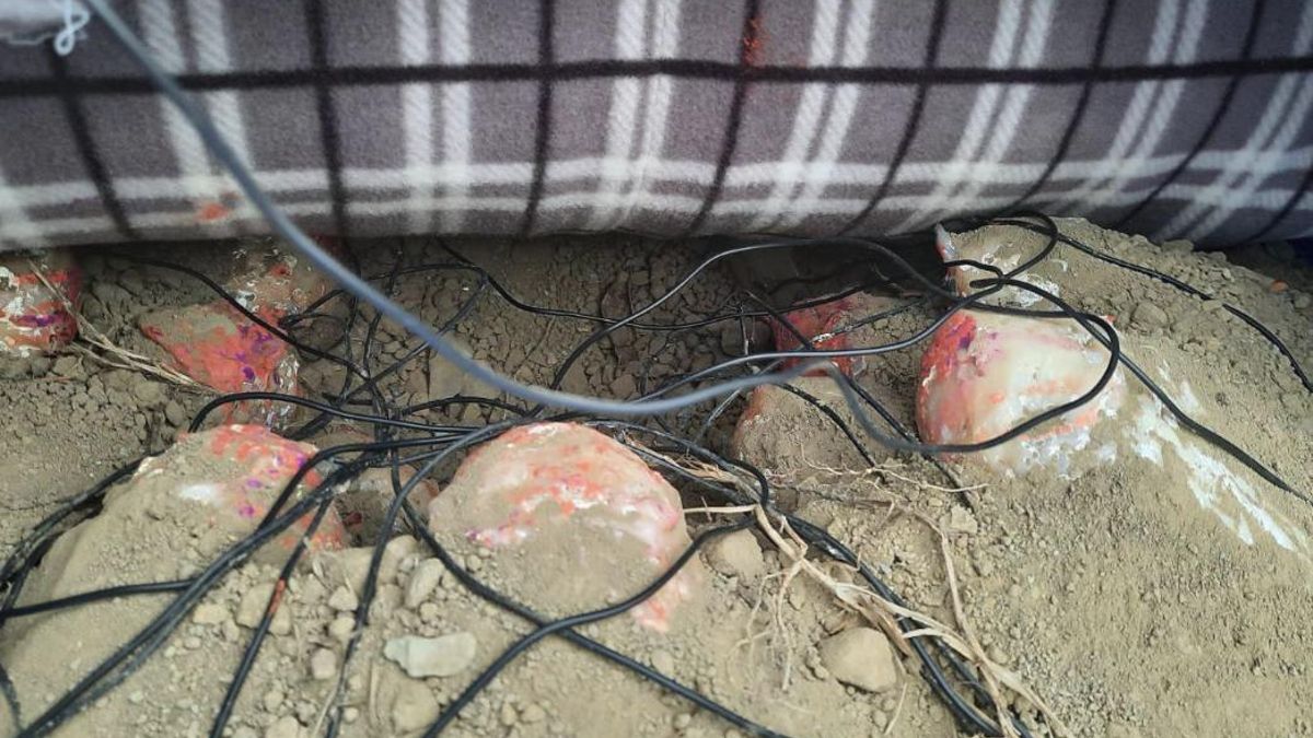 La distribución irregular provocaba partes más cálidas y otras más frías dentro del conjunto, lo que abría una incógnita sobre cómo evolucionaban los embriones bajo esas diferencias