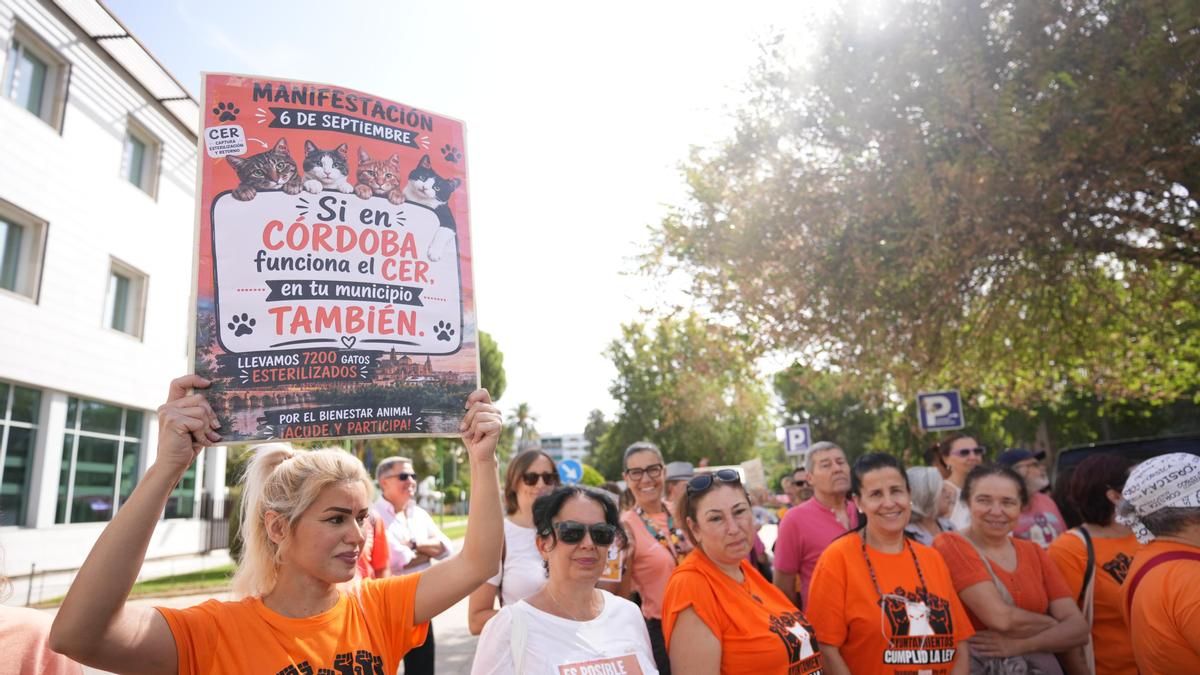 Concentración por la gestión de las colonias felinas