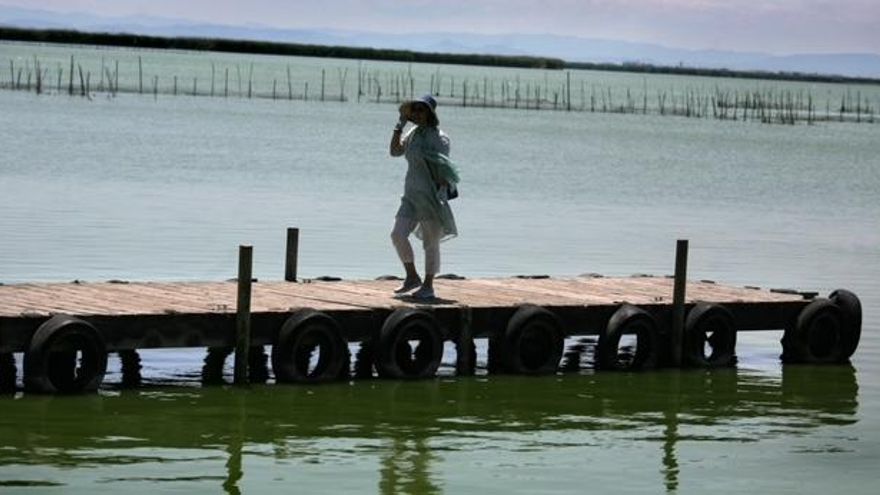 Viaje a la Albufera, el santuario natural que sobrevive a la crisis climática mientras otros humedales agonizan