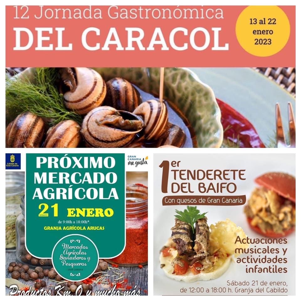 Los caracoles serán los protagonistas gastronómicos del fin de semana en Gran Canaria