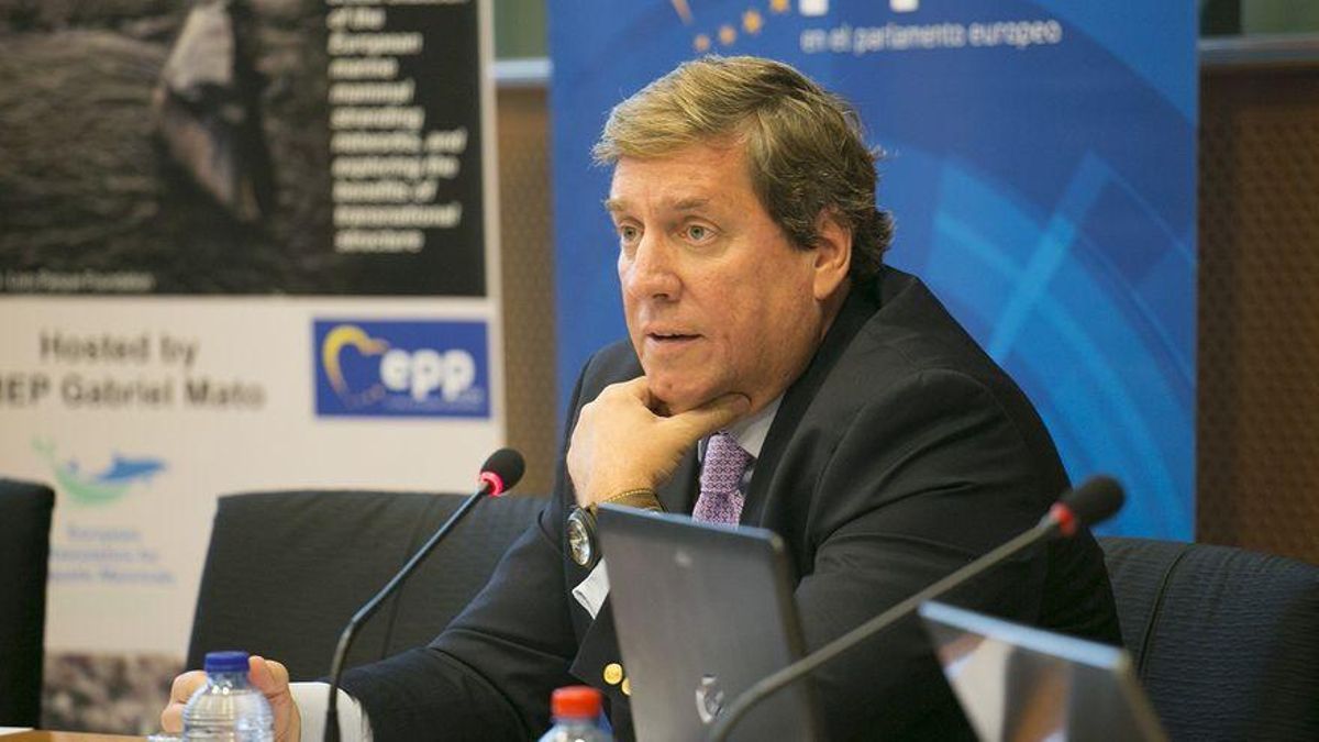 Gabriel Mato, eurodiputado del PP.