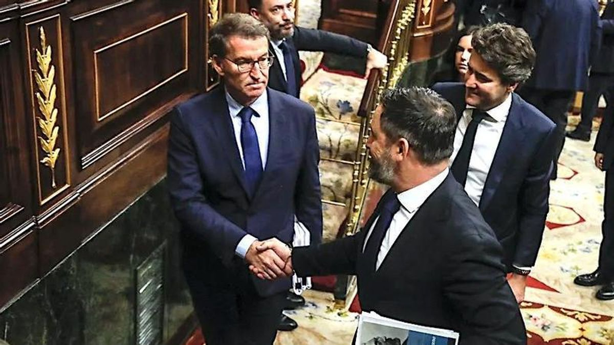 Vox renuncia a presentar candidatura propia al Senado por Las Palmas y Santa Cruz de Tenerife