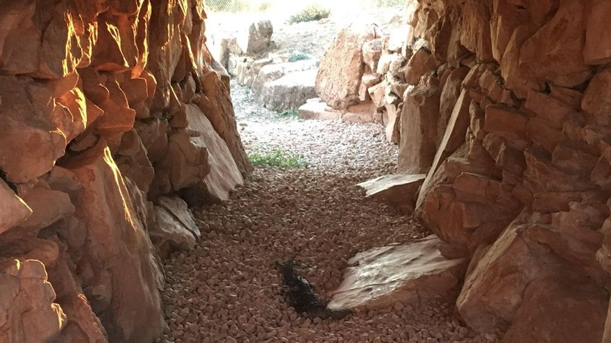 Acceso al corredor 1 del yacimiento de Castillejo del Bonete, en Terrinches (Ciudad Real)