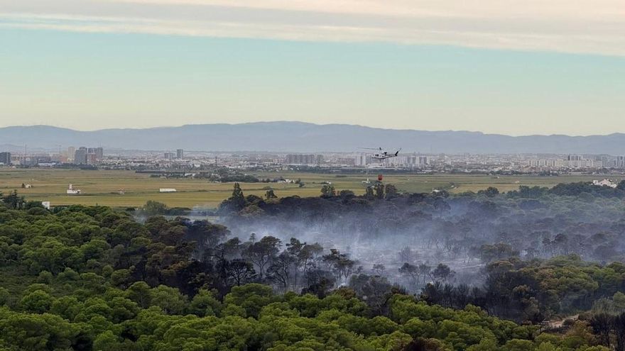 La delegada del Gobierno descarta causas naturales detrás del incendio de El Saler: "Pudo ser intencionado"