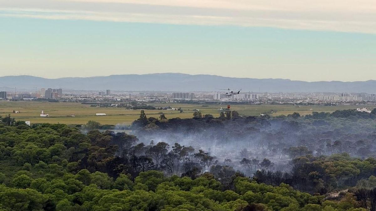 El dispositivo de emergencias aprovecha el viento de poniente para frenar el avance de las llamas y contener el perímetro del incendio de El Saler