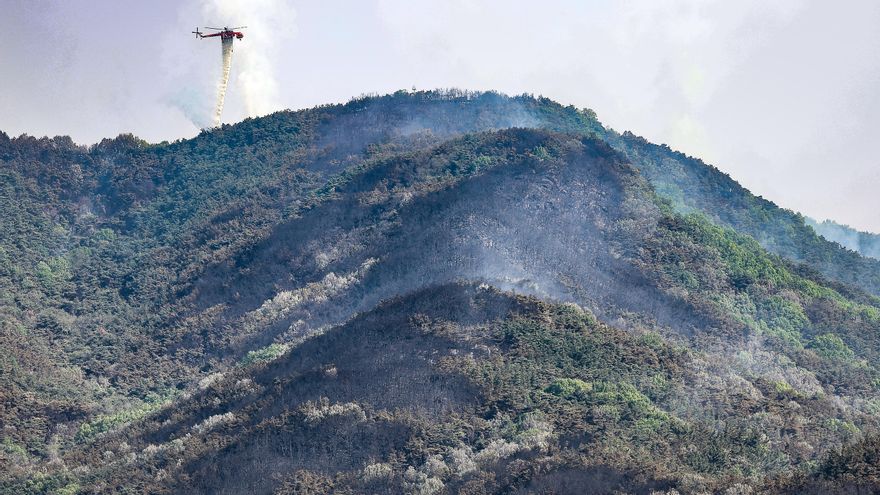 El gran incendio forestal en Daegu casi es extinguido tras un día de labores intensas