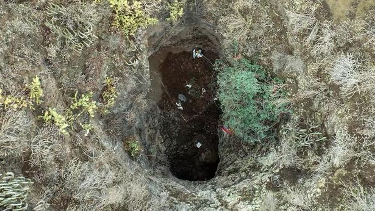 Sima de Jinámar. (CABILDO DE GRAN CANARIA)