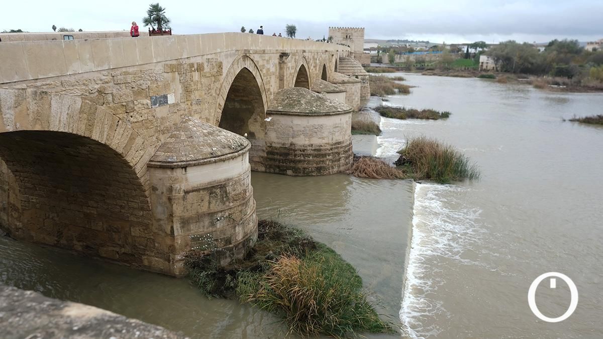 Así va el río Guadalquivir a su paso por Córdoba después de las últimas lluvias