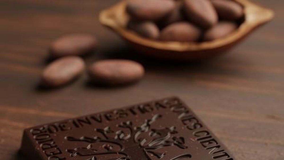 La amarga verdad del dulce: cómo la crisis del cacao afecta tu chocolate