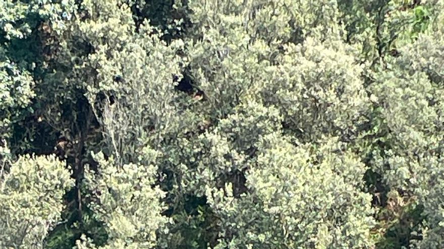 Rescate a un senderista